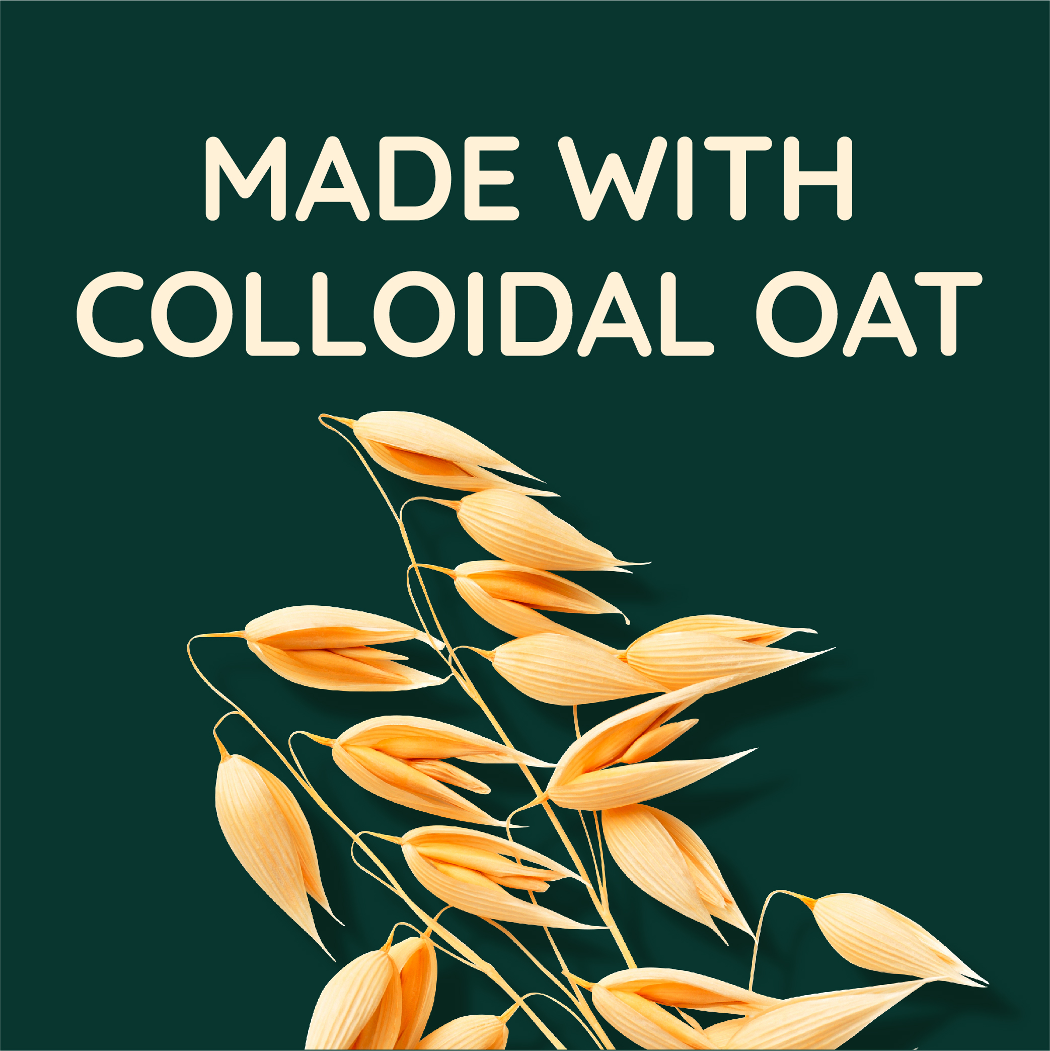 made with colloidal oat
