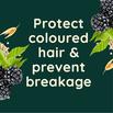Protect coloured hair & prevent breakage